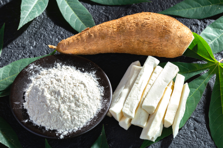 구찌 터널 당일치기 투어