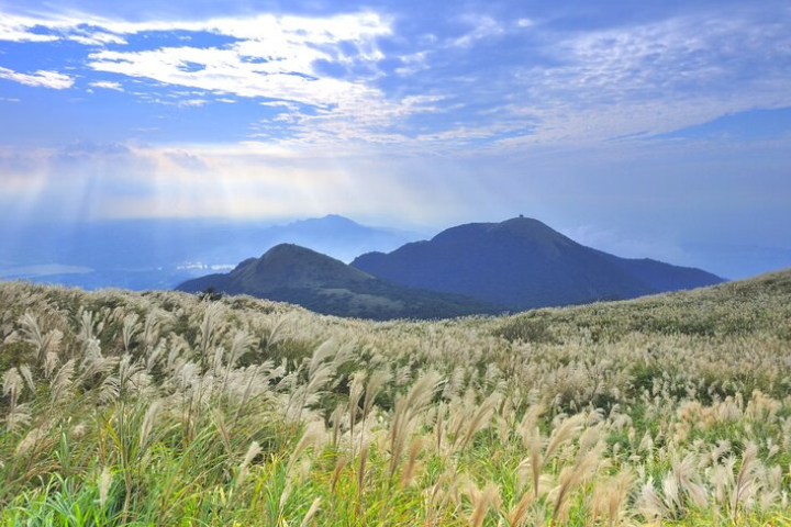 대만 [타이페이 북부 자연 탐방 투어] 베이터우 + 양명산